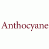 Wine (producers) in Lebanon: anthocyane