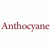 Anthocyane Logo (sodeco, Lebanon)