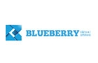 Companies in Lebanon: blueberry consulting & trade sal offshore