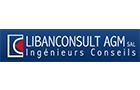 Companies in Lebanon: libanconsult agm sal