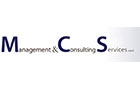 Companies in Lebanon: management and consulting services sarl