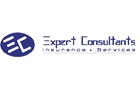 Companies in Lebanon: expert consultants