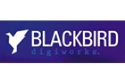 Companies in Lebanon: black bird fx