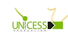 Companies in Lebanon: unicess production