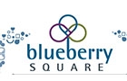 Companies in Lebanon: blueberry square mall