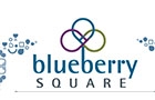 Companies in Lebanon: Blueberry Square Mall