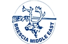 Companies in Lebanon: Brescia Middle East