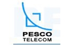 Companies in Lebanon: pescotel holding sal