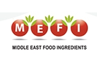 Companies in Lebanon: middle east food ingredients sal offshore