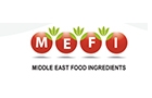 Companies in Lebanon: middle east food ingredients sal