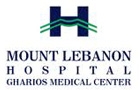 Companies in Lebanon: mount lebanon hospital