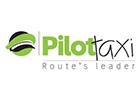 Companies in Lebanon: pilot taxi