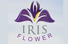 Iris Flower Hotel Logo (jezzine, Lebanon)