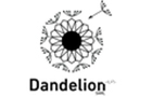 Companies in Lebanon: dandelion sarl