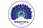 Companies in Lebanon: rootica paints sarl