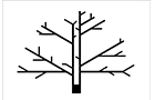 Tree Design House Logo (nahr el mott, Lebanon)