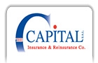 Companies in Lebanon: the capital insurance & reinsurance co sal