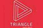 Companies in Lebanon: triangle web design and development sarl