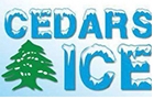 Companies in Lebanon: cedars ice