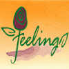 Feelings Flowers Logo (mosaytbeh, Lebanon)