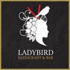 Ladybird Restaurant Logo (aaray, Lebanon)
