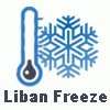 Companies in Lebanon: liban freeze