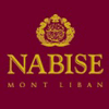Companies in Lebanon: nabise mont liban